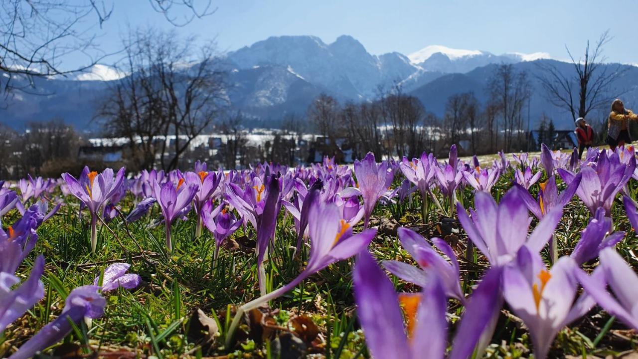 Pokoje Widokowe Szymaszkowa Leilighet Zakopane Eksteriør bilde